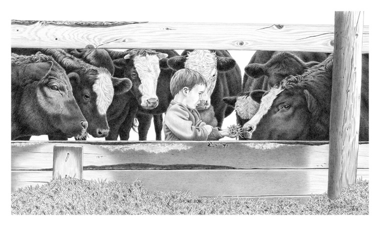 "Chore Boy" Angus | Black & White Print by Bernie Brown