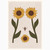 Torso Mini Sunflower 5x7 Print