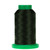 Isacord 5866 Herb Green  - 1000 Meter