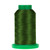 Isacord 5934 Moss Green  - 1000 Meter