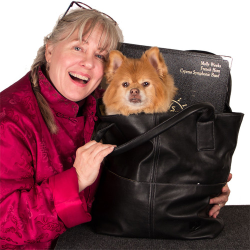 gig bag with Zuzu and Band folder