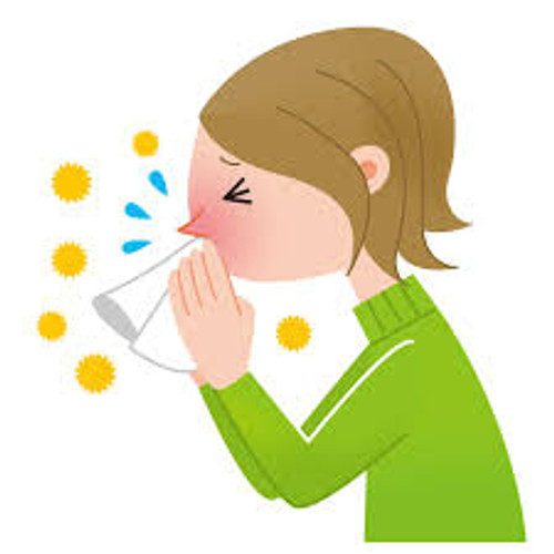 Get in the the VocalZone! How do singers cope with colds, coughs, and phlegm