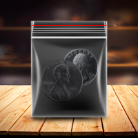 100 Pack Large Size 2.5 Mil Jewelry Plastic Bags