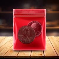 100 Pack Large Size 2.5 Mil Jewelry Plastic Bags