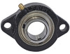 2F12 - 3/4 Inch Shaft Diameter Eccentric Locking Collar Style Flange Bearing - 2 Hole