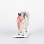 Modelo Vaca Acupuntura