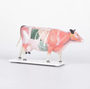 Modelo Vaca Acupuntura