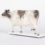 Modelo Vaca Acupuntura
