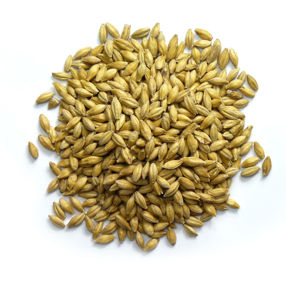 Warminster Pale ALe Malted Grains