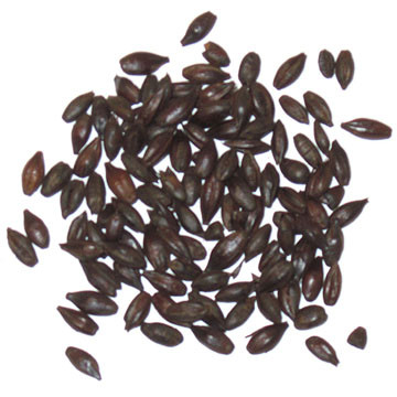 Weyermann De-Husked Carafa III