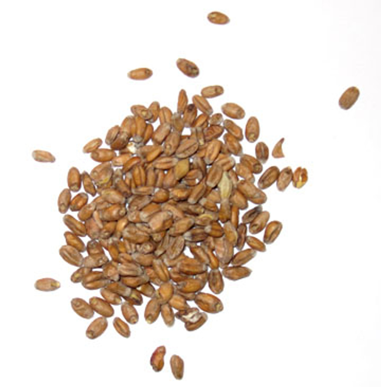 Briess Caracrystal Wheat Malt