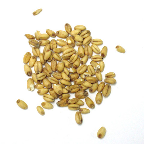 White Wheat Malt