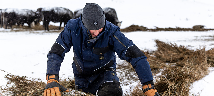 Man wearing a blue insulated freezer suit and insulated leather gloves works spreads hay for cattle on a snowy Montana ranch.