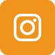 Instagram Social Icon