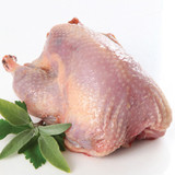 Game Bird Trio