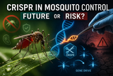 CRISPR in Mosquito Control: Future or Risk?