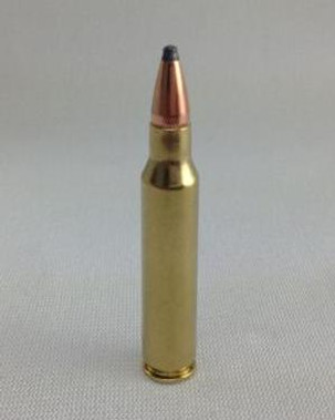 .223 Remington 55gr Soft Point