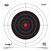 BIRCHWOOD EZE-SCORER 12" BULL'S EYE