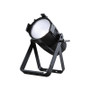 ShowPro LED ePAR Multi CW