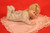 Ashton Drake Picture Perfect Porcelain Baby Doll