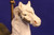 Carousel Horse on Brass Base