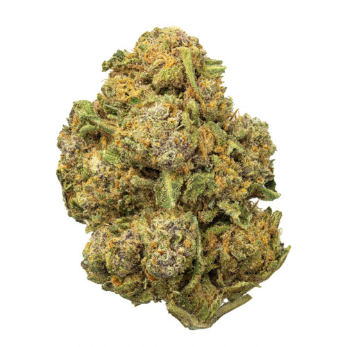 Purple Hindu Kush THCa Flower
