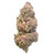 Tropical Cherries THCa Flower