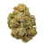 Purple Hindu Kush THCa Flower (1 Oz)