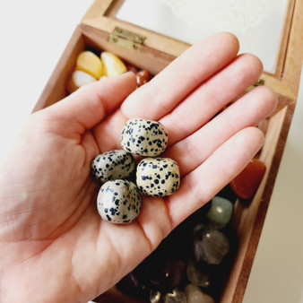 Dalmatian Jasper Tumbles