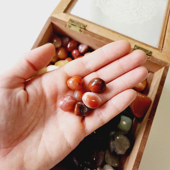 Carnelian Tumble Stones. Keep your tumble with you through the day, specifically place it against the body where you need it most, relax and think about your crystal helping you heal your area of concern.

Approx: 18x20x18mm None of our tumbles are perfectly polished you should always expect a cute imperfection