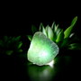 Green Aventurine Night Light USB Crystal Night Lights USB connects into any USB port and provides a soft light, energy filled room.

Choice of SIX kinds of beautiful crystals to enlighten your space

FLUORITE: Focus

GREEN AVENTURINE: Wellbeing

ROSE QUARTZ: Love

AMETHYST: Relax

BLUE AVENTURINE: Calm

QUARTZ: Clarity




Sizes slightly vary
