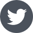 Twitter Product Share Icon