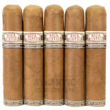 Nica Rustica Shade by Drew Estate Gordo