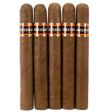 Sarzedas by J.C. Newman Toro