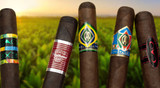 Best Tasting CAO Cigars