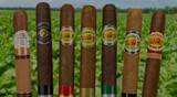 Top 7 Best Tasting La Aurora Cigars Our Customers Love