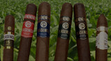 Top 6 Most Popular Plasencia Cigars in 2026