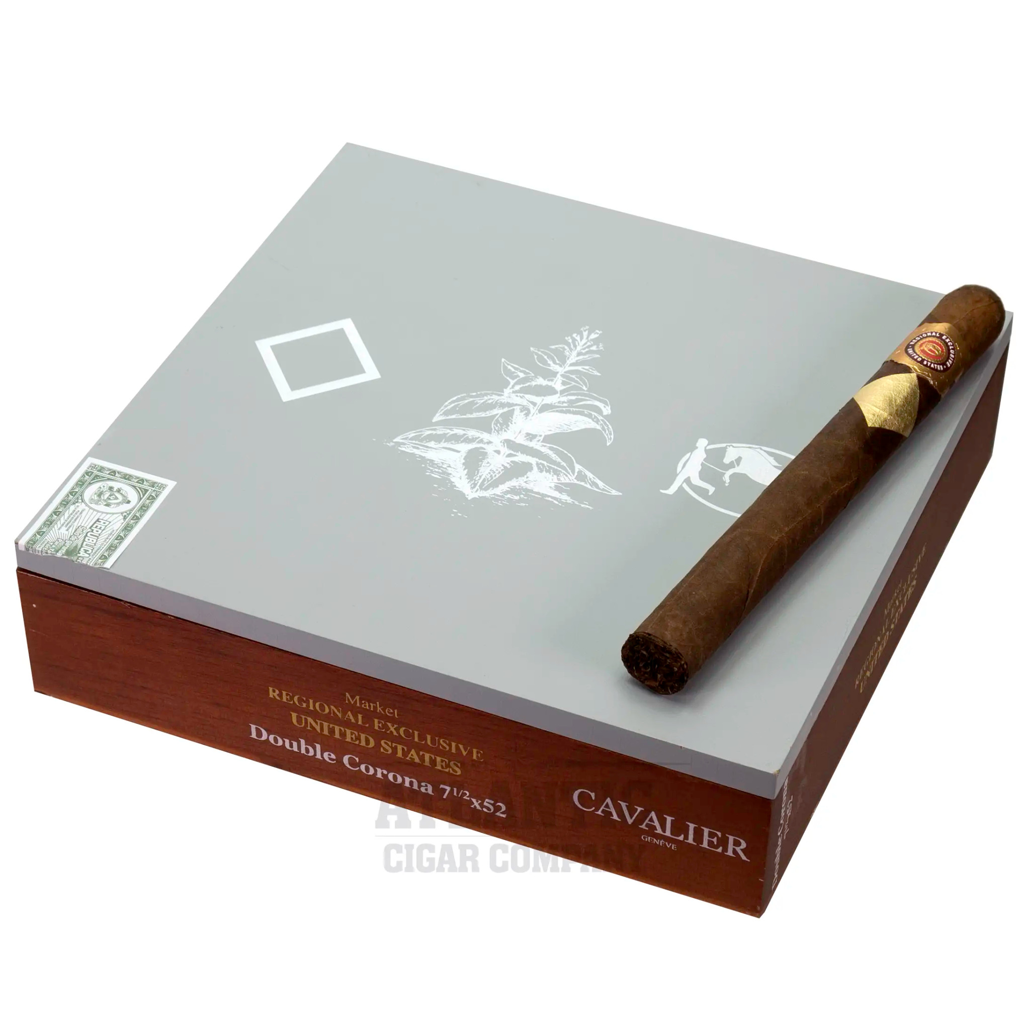 洋蘭　Den.MaroonStar'Cavalier' Cavalier Geneve Black Series USA Double Corona (7-1/2x52