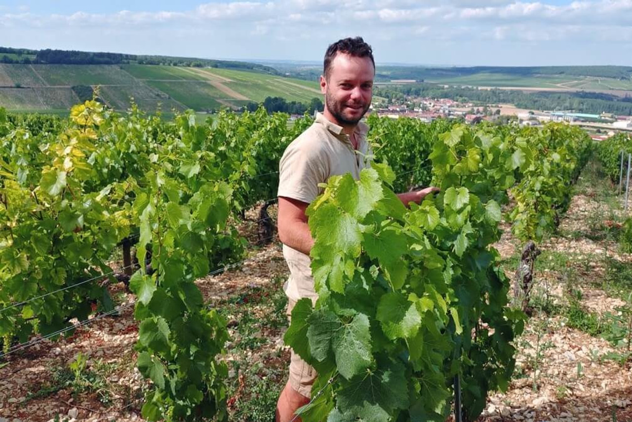 Domaine Jean Dauvissat Domaine Jean Dauvissat