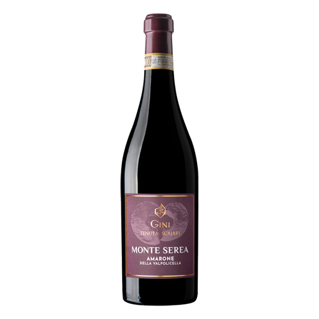 【まとめ割有】Amarone della Valpolicella 2015 Gini Amarone della Valpolicella Monte Serea 2015 750ml