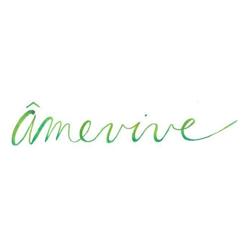 Amevive Wine Syrah Ibarra-Young Vineyard Los Olivos 2022 750ml