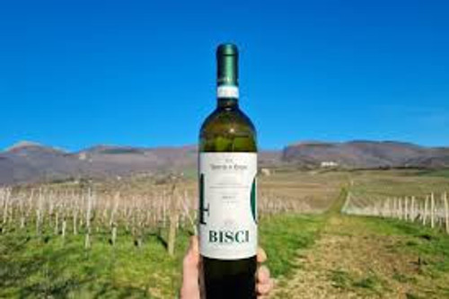 Copy of Bisci Verdicchio di Matelica 2022 750ml