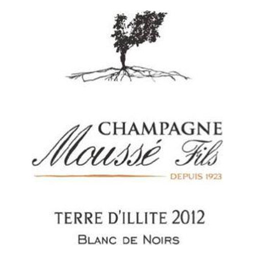 Mousse Fils Champagne Brut Blanc de Noirs Millesime Terre d'Illite 2020 750ml