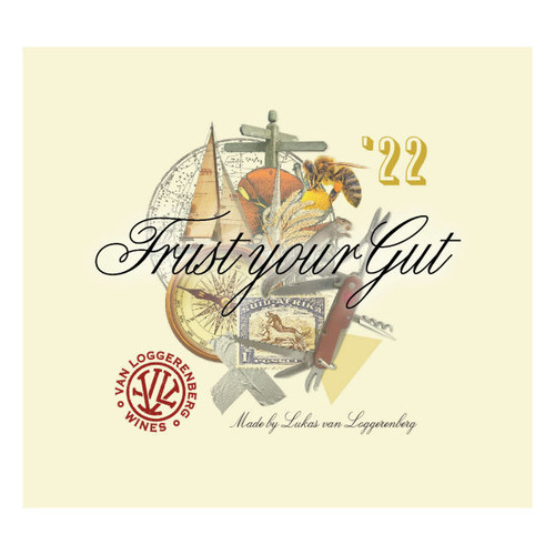 Product image for Van Loggerenberg Wines Chenin Blanc Trust Your Gut Western Cape 2022 750ml