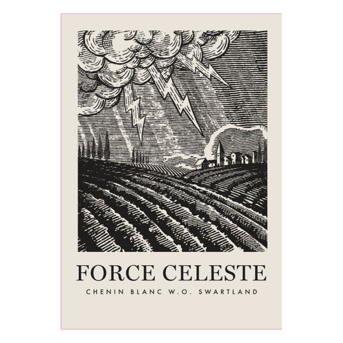 Product image for Mother Rock Chenin Blanc Force Celeste Swartland 2024 750ml