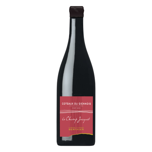 Product image for Clement et Florian Berthier Coteaux du Giennois Le Champs Jacquot 2020 750ml