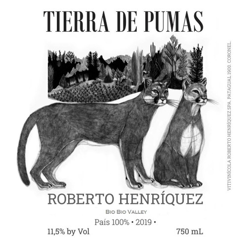 Product image for Roberto Henriquez Tierra de Pumas 2021 750ml Product image for Roberto Henriquez Tierra de Pumas 2021 750ml