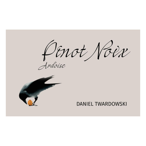Product image for Daniel Twardowski Pinot Noir Ardoise 2021 750ml
