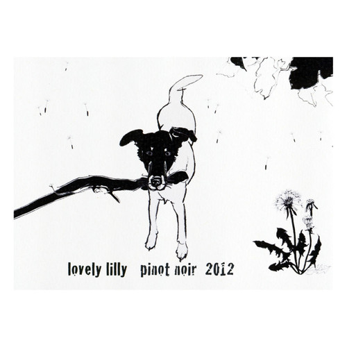 Product image for Shelter Winery Lovely Lilly Pinot Noir 2023 750ml