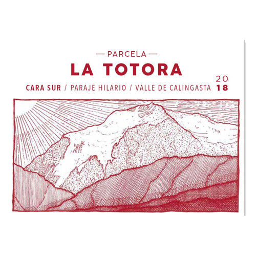 Product image for Cara Sur Parcela La Totora Paraje Hilario Calingasta 2022 750ml